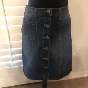 Earl Jean Denim Skirt